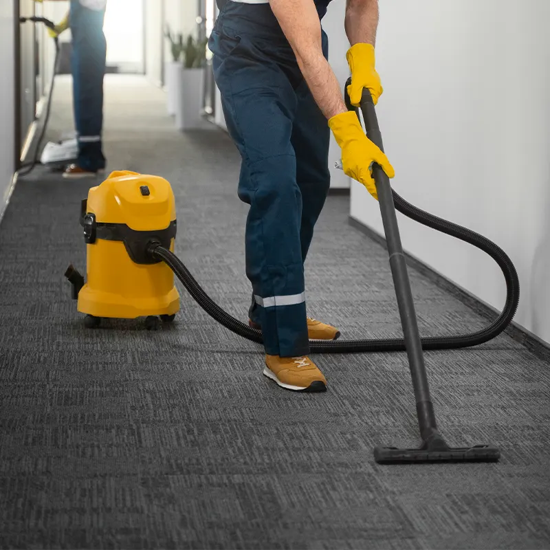 carpet cleaning