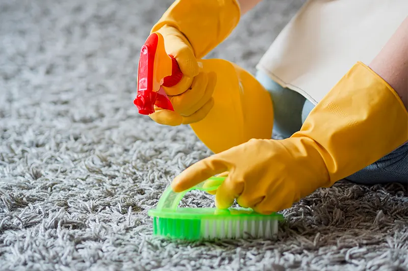 Carpet Deep Cleaning